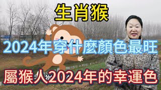 生肖屬相猴！屬猴人在2024年穿什麼顏色最旺？生肖屬猴人2024年幸運色是什麼！本期視頻講述2024生肖猴！運勢 顏色 風水 2024 [upl. by Ahmar]