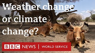 When does weather change become climate change  BBC World Service [upl. by Aleacem]