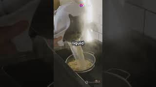 Easy Peasy Pasta Recipe for Beginners 🤤🍜🍝 food pasta cooking tasty recipe zabbesttowatch [upl. by Onitnerolf]