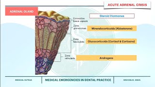 Acute Adrenal Crisis Acute Adrenal Insufficiency [upl. by Ahsiat]