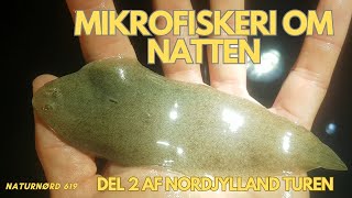 NATFISKERI MED TUNGEVINDUE  FISK OVERALT   NATURNØRD 619 [upl. by Aratahs]