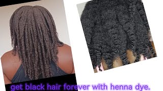 do this for permanent black hair natural bonding treatment and hair dye using henna [upl. by Irneh617]