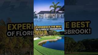 Experience the best of Florida at Innisbrook shorts [upl. by Canotas]