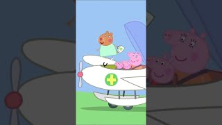 Dr Hamster The Flying Vet shorts peppapig [upl. by Ellehcram582]