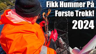 Hummerfiske 2024 Fikk Hummer På Første Trekk🦞🦞 [upl. by Flam582]