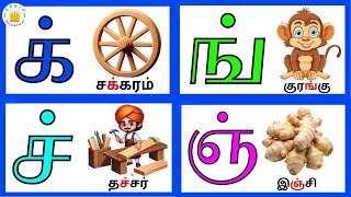 மெய் எழுத்துக்கள்க் ன்  Mei Eluthukkal  Tamil Letters Tamilarasi [upl. by Nerad]