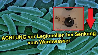 Steigt das Risiko für Legionellen beim Gas sparen amp Senken der Temperatur vom Warmwasser [upl. by Eessac]