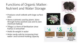 Soil Organic Matter [upl. by Payton]