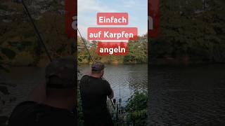 Karpfenangeln im Herbst carpfishing fishing fish fishingvideo fishinglife angeln fun happy [upl. by Muirhead]