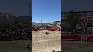 Recorte de Maruan en la pascua taurina de Onda toros fiesta bull toro viral [upl. by Nesyrb]