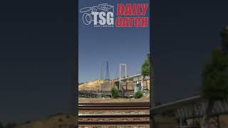 trains shorts youtubeshorts tsgdailycatch 110524 [upl. by Sirtemed]