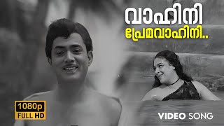 Vaahini Premavaahini Video Song  Achante Bharya  K J Yesudas  S Janaki  Old Malayalam Songs [upl. by Hadden]