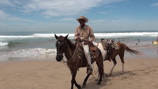 Mazatlan MEXICO [upl. by Loriner952]