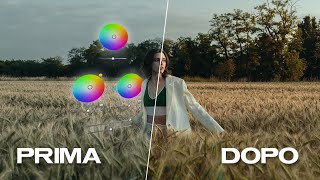 Come USARE al MEGLIO il COLOR GRADING  Tutorial Lightroom [upl. by Annovaj]