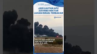 Diserang Hizbullah Tanpa Henti Ratusan Ribu Hektar Lahan di Israel Terbakar Bak Lautan Api [upl. by Woolson]