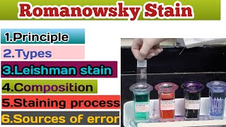 Romanowsky Stain ll Hematological satain ll Leishman stain ll prucedure ll purpose ll error ll hindi [upl. by Ornie766]