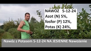 Jak Wyszukać Dobry Nawóz z Potasem na Jesienne Nawożenie Borówki Amerykańskiej [upl. by Kimberlee]