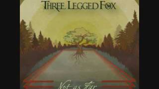 Three Legged Fox  Maybe Im Sorry  ReggaeRock Music [upl. by Falk16]