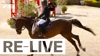 RELIVE  2nd competition  Individuals amp Teams I FEI Jumping European Championships for Veterans 24 [upl. by Clynes957]