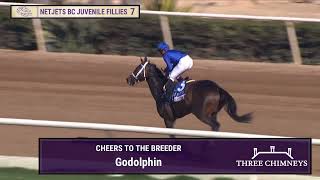 Immersive wins the NetJets Breeders Cup Juvenile Fillies GI race 7 at Del Mar 11124 [upl. by Lareneg]