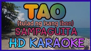 TAO KARAOKE By SAMPAGUITA HD KARAOKE NVZ KARAOKE [upl. by Elladine]