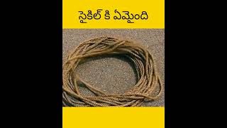 Vellu cycle tho assalu em cheystharu telugu facts amazingfacts [upl. by Buckley]