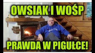 OWSIAK I WOŚP  PRAWDA W PIGUŁCE [upl. by Llenwahs655]