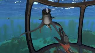 The subnautica cuddlefish in base good bug [upl. by Aihsak719]