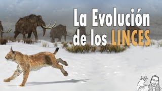 La Evolución del Lince  AbrilVideosMil  07 [upl. by Nwadrebma]