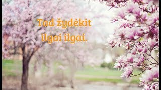 Palinkėjimai Moters dienos proga  🌷♫♬♪❤ [upl. by Neelram]