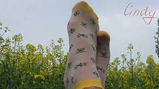 Bee fashion in the rapeseed field [upl. by Winni19]