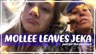 MOLLEE LEAVES JEKA [upl. by Gabriele]