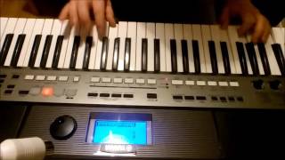 Biełyje Rozy cover yamaha psr e443 [upl. by Arabel75]