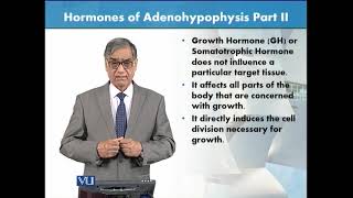 Hormones of Adenohypophysis  Part 2  Animal Form amp Function 1 Theory  ZOO516TTopic127 [upl. by Divod]