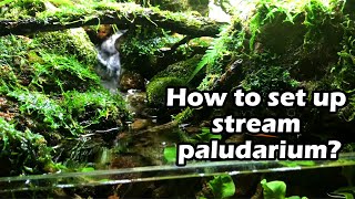 How build Paludarium stream Aquaterrarium  Cách làm bể bán cạn với dòng suối [upl. by Anirtap]