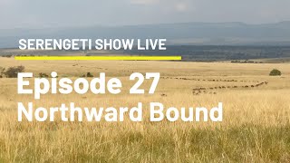 Episode 27 – Northward Bound [upl. by Verney781]