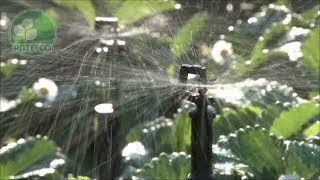 360° Rotor Spray on Stake Guide  Mini Sprinklers [upl. by Eussoj809]