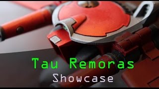 Showcase Tau Remoras [upl. by Norred]