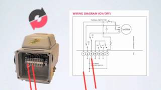 Wiring Instructions for K Series 120V AC Electric Actuator [upl. by Yttik]