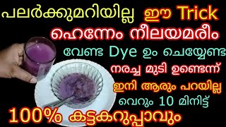 നരച്ച മുടിയോർത്ത് ഇനി ആർക്കും ടെൻഷൻ വേണ്ട 100 കറുപ്പിക്കാം 10 മിനിട്ട് തലയിൽതേക്കൂ Natural HairDye [upl. by Elysha]