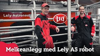 Gjennomgang av melkeanlegg med Lely A5 melkerobot [upl. by Adlev]