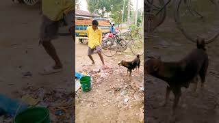 New natok funny reels 🤣😂😝😝🤔🤔 comedyvideos natok entertainment post [upl. by Decker]