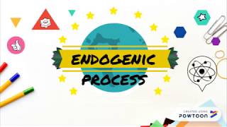 ENDOGENIC PROCESS [upl. by Hamaso466]