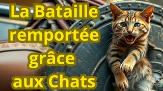 Péluse la bataille remportée grâce aux chats [upl. by Asiak720]