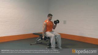 Alternate Low Seated Dumbbell Supination Curl [upl. by Analem]