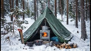 SNOW CAMPING WITH MY DOG  CAMPING LIFE IN WINTER WOODS [upl. by Essinger]