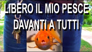 Libero il mio pesce [upl. by Joscelin608]