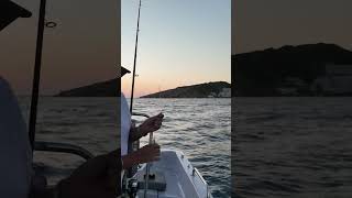 quotNa moru pri zalasku sunca Ulovljena riba vraćena u morequot ulqini ulcinj fishing montenegro [upl. by Emmaline]