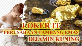 Loker IT Gaji berkilauan diperusahaan tambang emas [upl. by Leandra]