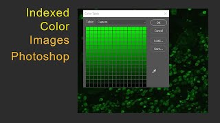 Indexed Color Images in Science [upl. by Elocyn466]